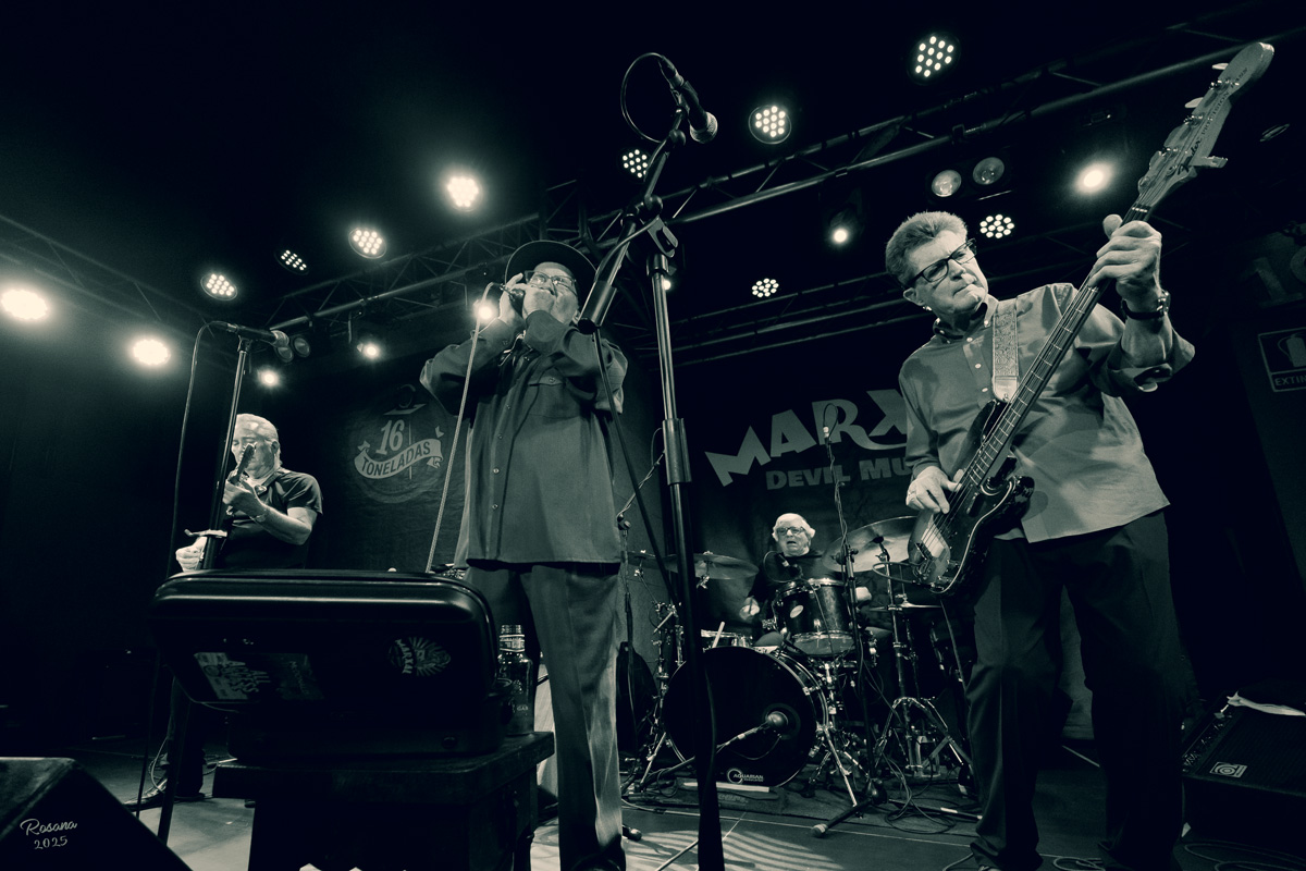 Mark Hummel Blues&nbsp;Stars